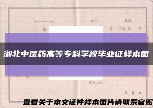 湖北中医药高等专科学校毕业证样本图缩略图