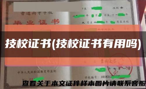 技校证书(技校证书有用吗)缩略图