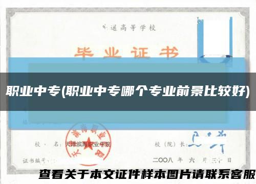 职业中专(职业中专哪个专业前景比较好)缩略图