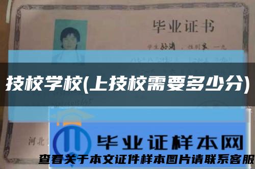 技校学校(上技校需要多少分)缩略图