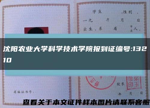 沈阳农业大学科学技术学院报到证编号:13210缩略图