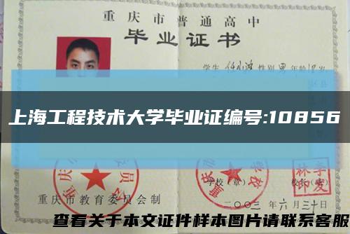 上海工程技术大学毕业证编号:10856缩略图