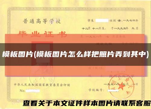 模板图片(模板图片怎么样把照片弄到其中)缩略图