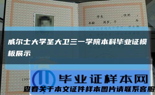 威尔士大学圣大卫三一学院本科毕业证模板展示缩略图