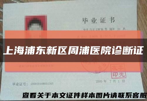上海浦东新区周浦医院诊断证缩略图