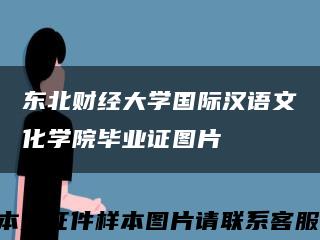 东北财经大学国际汉语文化学院毕业证图片缩略图