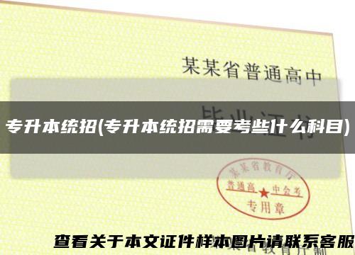 专升本统招(专升本统招需要考些什么科目)缩略图