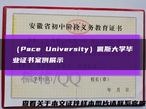 （Pace University）佩斯大学毕业证书案例展示缩略图