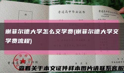 谢菲尔德大学怎么交学费(谢菲尔德大学交学费流程)缩略图