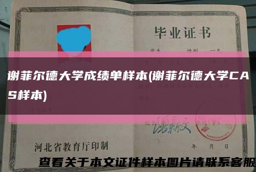 谢菲尔德大学成绩单样本(谢菲尔德大学CAS样本)缩略图