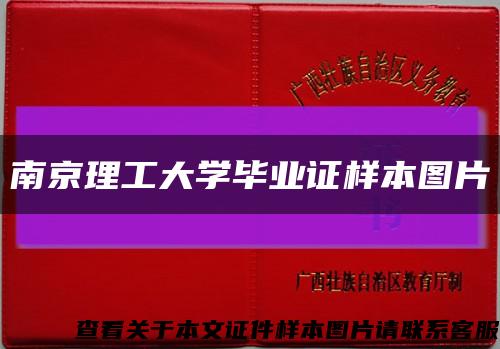 南京理工大学毕业证样本图片缩略图