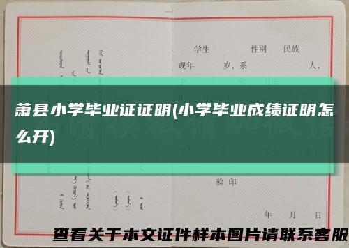 萧县小学毕业证证明(小学毕业成绩证明怎么开)缩略图