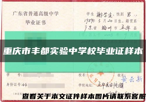 重庆市丰都实验中学校毕业证样本缩略图