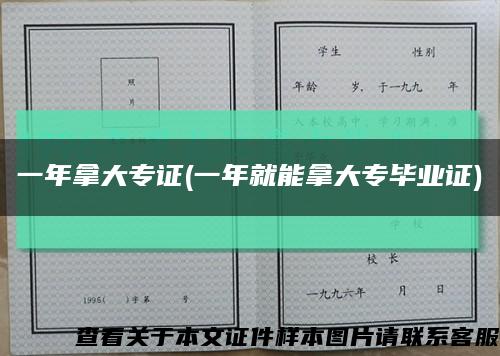 一年拿大专证(一年就能拿大专毕业证)缩略图