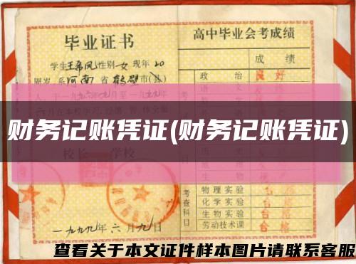 财务记账凭证(财务记账凭证)缩略图