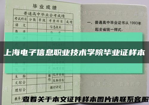 上海电子信息职业技术学院毕业证样本缩略图