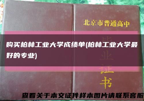 购买柏林工业大学成绩单(柏林工业大学最好的专业)缩略图