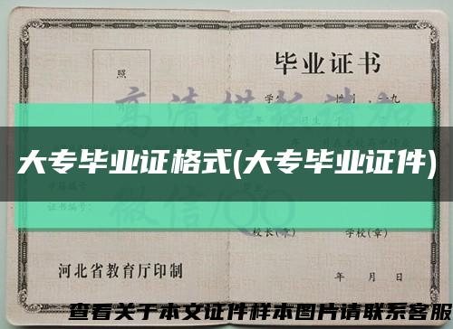 大专毕业证格式(大专毕业证件)缩略图