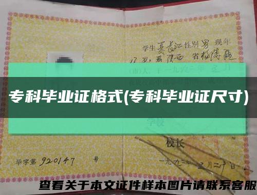 专科毕业证格式(专科毕业证尺寸)缩略图