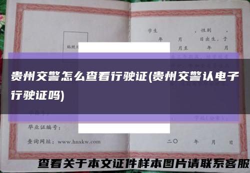 贵州交警怎么查看行驶证(贵州交警认电子行驶证吗)缩略图