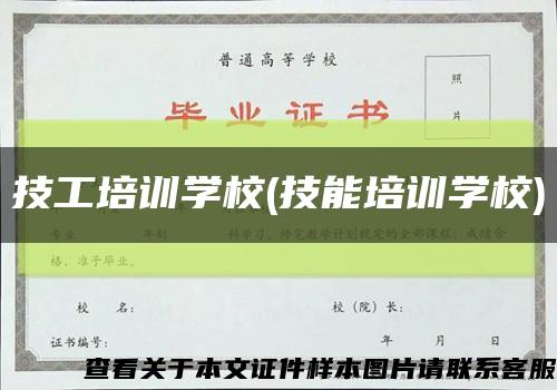 技工培训学校(技能培训学校)缩略图