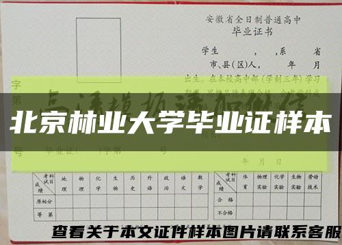 北京林业大学毕业证样本缩略图