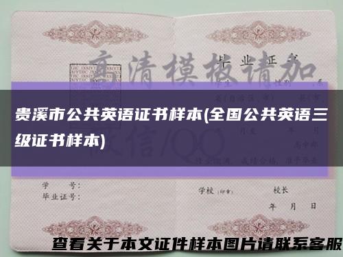 贵溪市公共英语证书样本(全国公共英语三级证书样本)缩略图