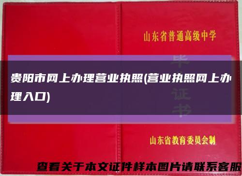贵阳市网上办理营业执照(营业执照网上办理入口)缩略图