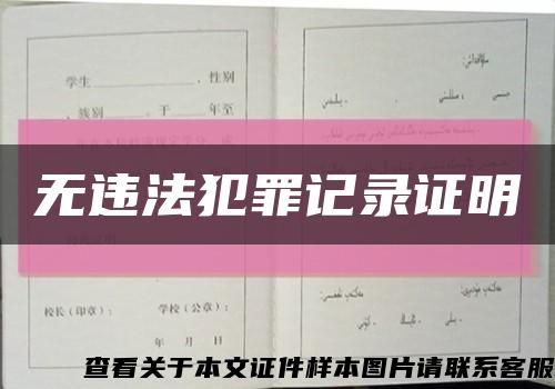 无违法犯罪记录证明缩略图