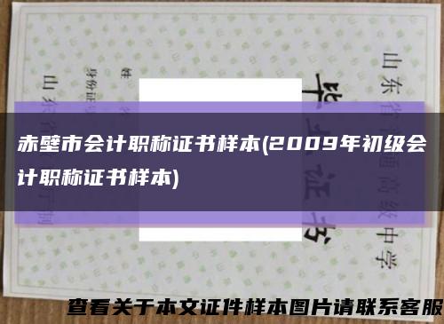 赤壁市会计职称证书样本(2009年初级会计职称证书样本)缩略图