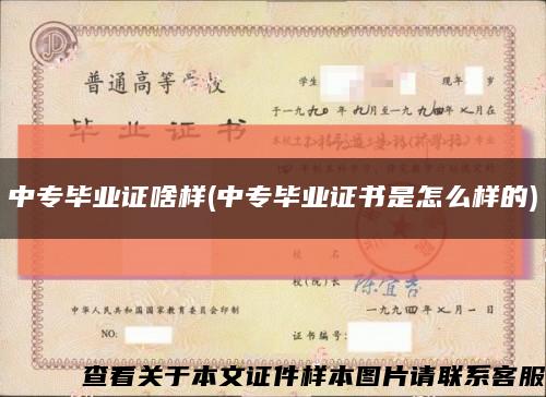 中专毕业证啥样(中专毕业证书是怎么样的)缩略图