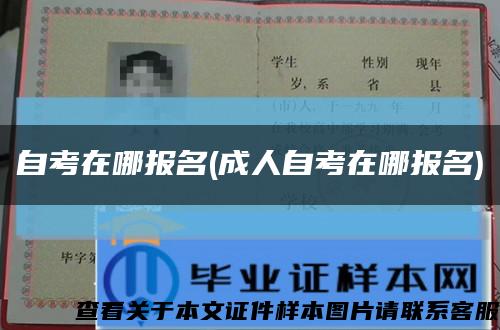 自考在哪报名(成人自考在哪报名)缩略图