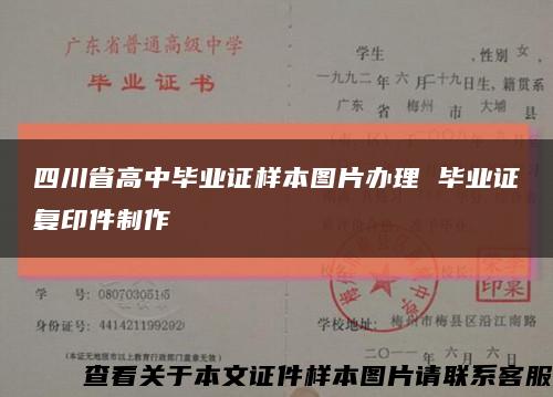 四川省高中毕业证样本图片办理 毕业证复印件制作缩略图