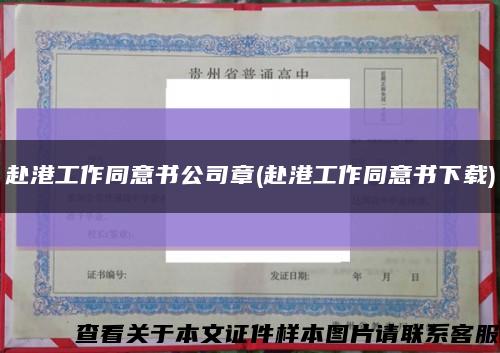 赴港工作同意书公司章(赴港工作同意书下载)缩略图