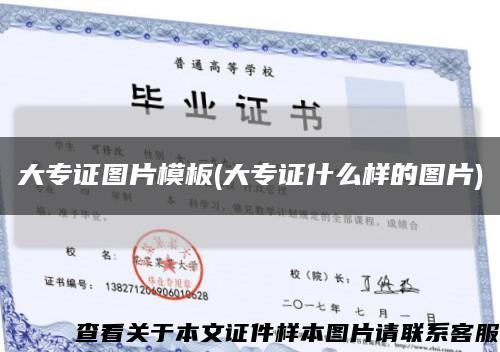 大专证图片模板(大专证什么样的图片)缩略图