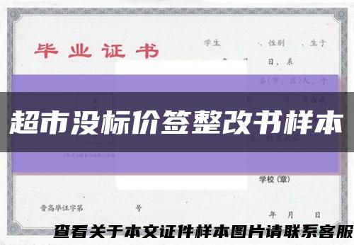 超市没标价签整改书样本缩略图