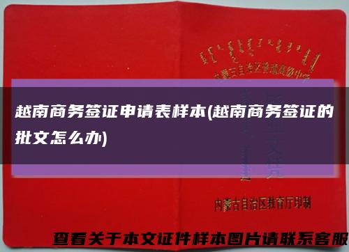 越南商务签证申请表样本(越南商务签证的批文怎么办)缩略图