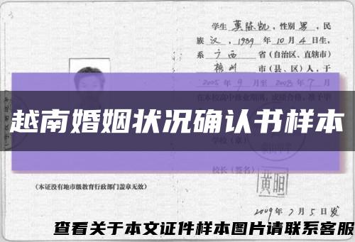 越南婚姻状况确认书样本缩略图