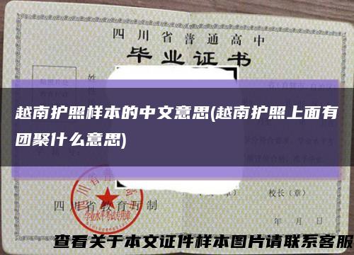 越南护照样本的中文意思(越南护照上面有团聚什么意思)缩略图