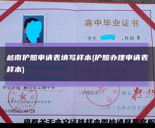 越南护照申请表填写样本(护照办理申请表样本)缩略图