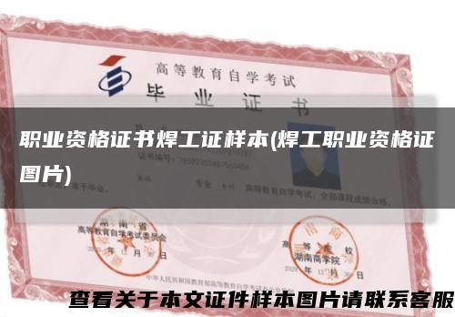 职业资格证书焊工证样本(焊工职业资格证图片)缩略图