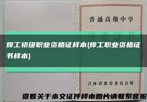 焊工初级职业资格证样本(焊工职业资格证书样本)缩略图