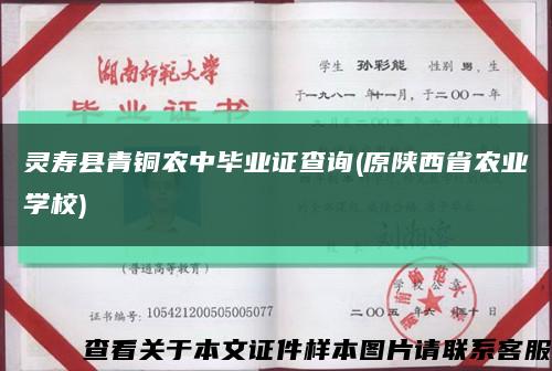 灵寿县青铜农中毕业证查询(原陕西省农业学校)缩略图