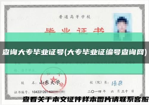 查询大专毕业证号(大专毕业证编号查询网)缩略图