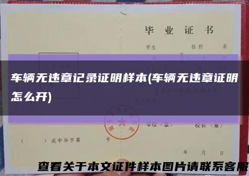 车辆无违章记录证明样本(车辆无违章证明怎么开)缩略图