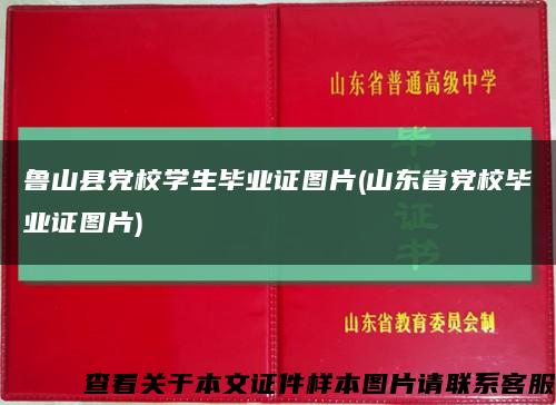 鲁山县党校学生毕业证图片(山东省党校毕业证图片)缩略图