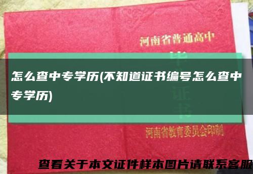 怎么查中专学历(不知道证书编号怎么查中专学历)缩略图