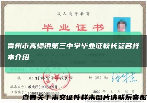 青州市高柳镇第三中学毕业证校长签名样本介绍缩略图