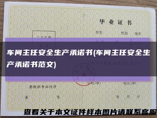 车间主任安全生产承诺书(车间主任安全生产承诺书范文)缩略图