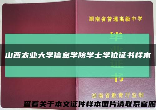 山西农业大学信息学院学士学位证书样本缩略图